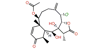 Solenolide E